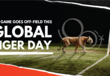 #ScoreForTigers- Turning Football Fans into Tiger Fans