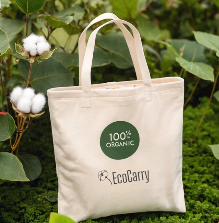 ECOCARRY: WHERE FASHION MEETS SUSTAINABILITY AND EMPOWERMEN