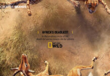 NATIONAL GEOGRAPHIC’S ‘AFRICA’S DEADLIEST’ PRINT CAMPAIGN CAPTURES THE WILD IN ITS RAWEST FORM