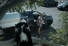 ‘NATURE HATES A TOSSER’: NSW EPA LAUNCHES BOLD, CONFRONTATIONAL ANTI-LITTERING CAMPAIGN