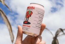 ZINGARA BY NORAMBLE: BOTTLING RETRO JOY FOR THE MODERN SHELF