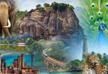 INDIAN TOURISTS CEMENT SRI LANKA’S TOURISM REVIVAL Â